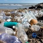 LASEPA launches ban on single-use plastics, pet bottles, others among staff