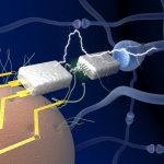 Learning Machine: Researchers unveil electronics that mimic the human brain in efficient learning