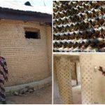 Nigerian Engineer built a House  with 14,800 plastic bottles
