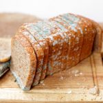 Why You Shouldn’t Eat The “Clean” Part Of Your Moldy Bread