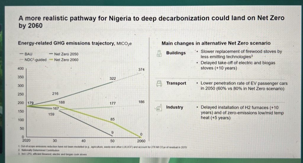 Nigeria shouldn’t have joined the race to Net Zero:A critique of Nigeria’s energy transition plan